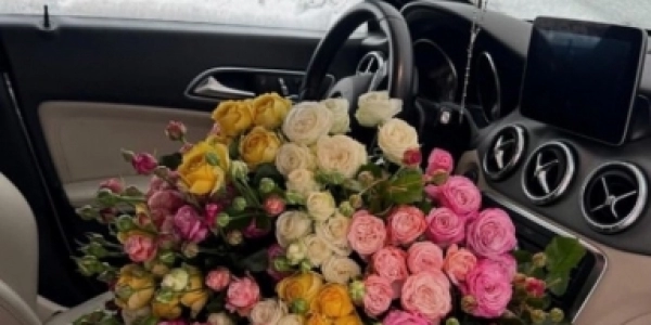 Новороссийск и Геленджик!!! Лучшие условия +7(994)333-33-21