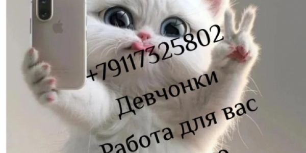 Санкт-Петербург! ЧЕСТНЫЕ УСЛОВИЯ +7(911)732-58-02