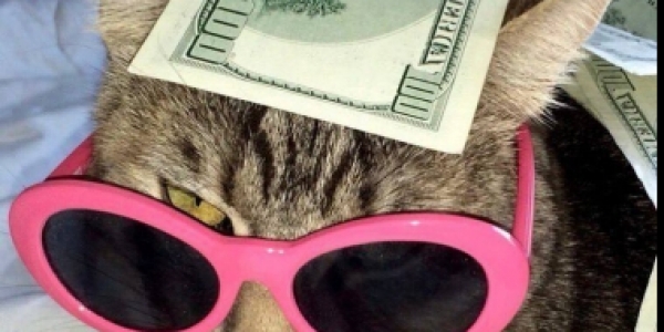 Работа в Санкт-Петербурге под ИНДИ +7(996)498-14-89